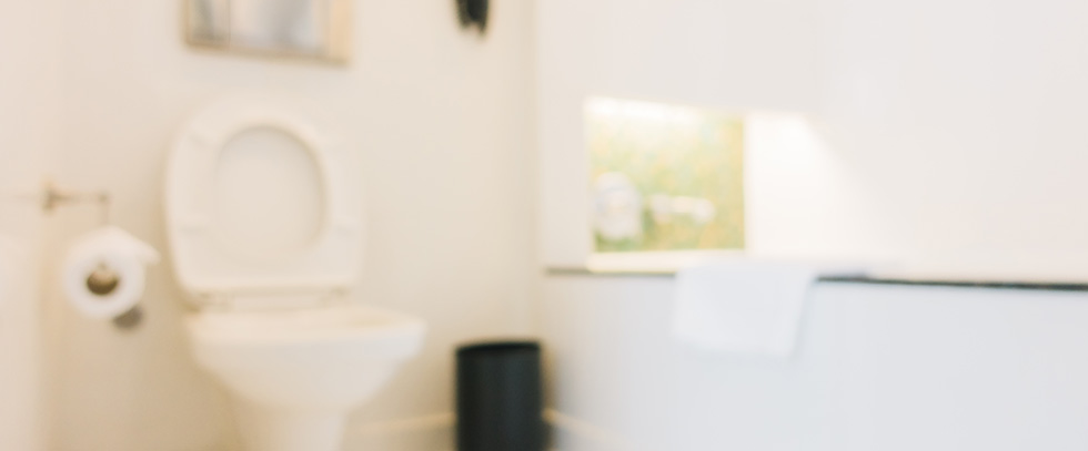 Ultimate Guide: Plumbing 2 Ultimate Guide: Plumbing bathroom with toilet