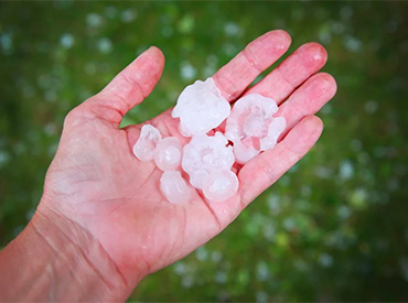 man holding hail