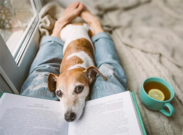 Puppy with cup of tea photo