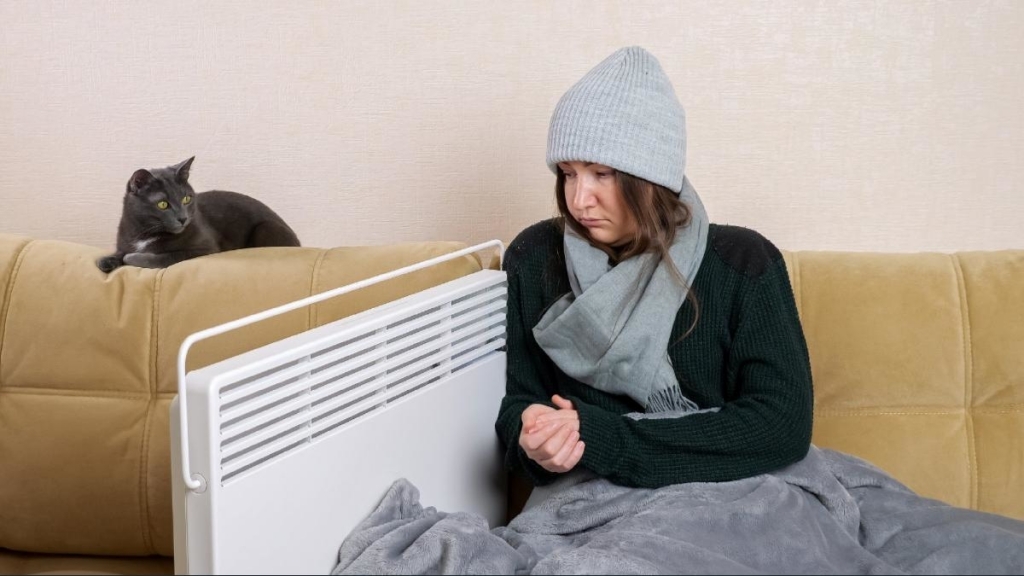 northglenn woman and cat on the couch with space heater with hat scarf and blanket